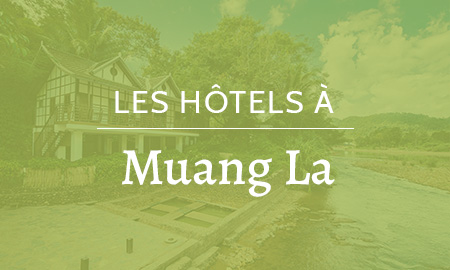 Hôtels à Muang La