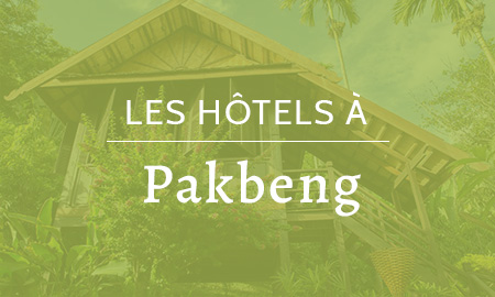 Hôtels à Pakbeng