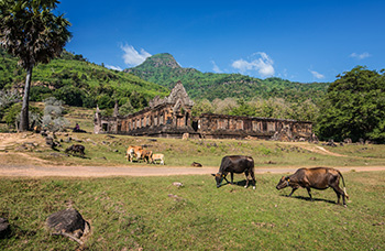 Vat Phou