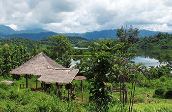 Elephant conservation center