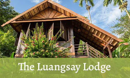 The Luangsay Lodge