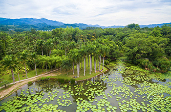 Jardin de Menglun