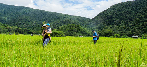Voyage Laos en famille
