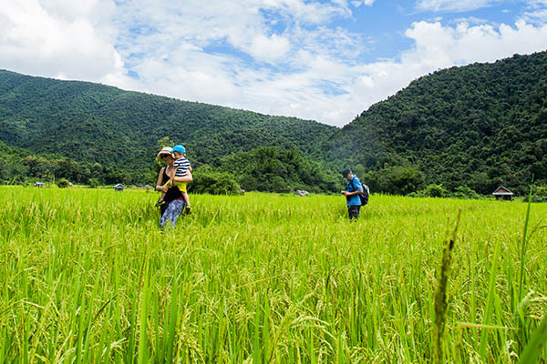 Circuit Le Laos en famille