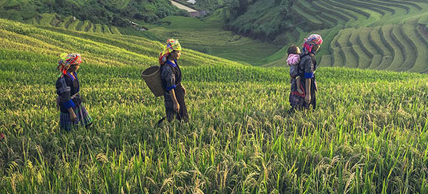 Trip The Ethnic Groups of Northern Laos