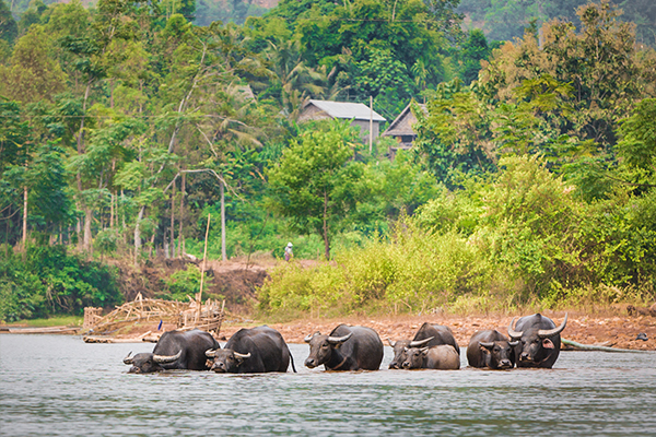 Nord Laos