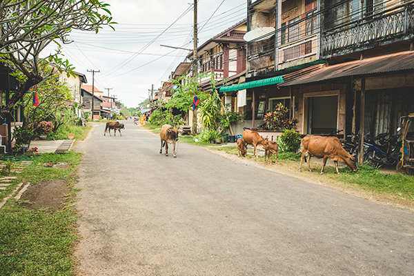 Sud Laos