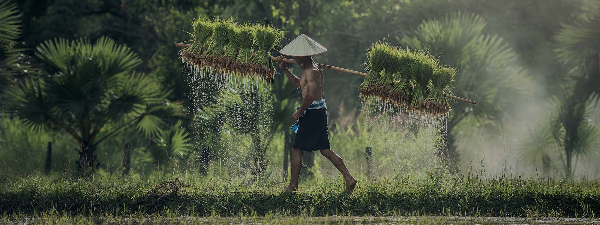 Agence de voyage locale Asia Safari Laos