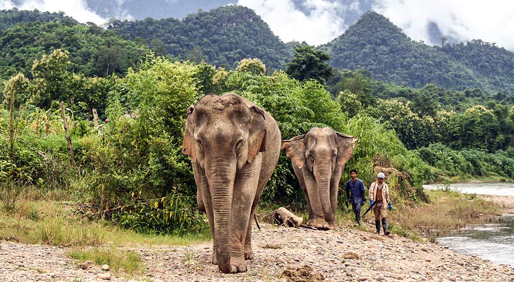 Luang Prabang