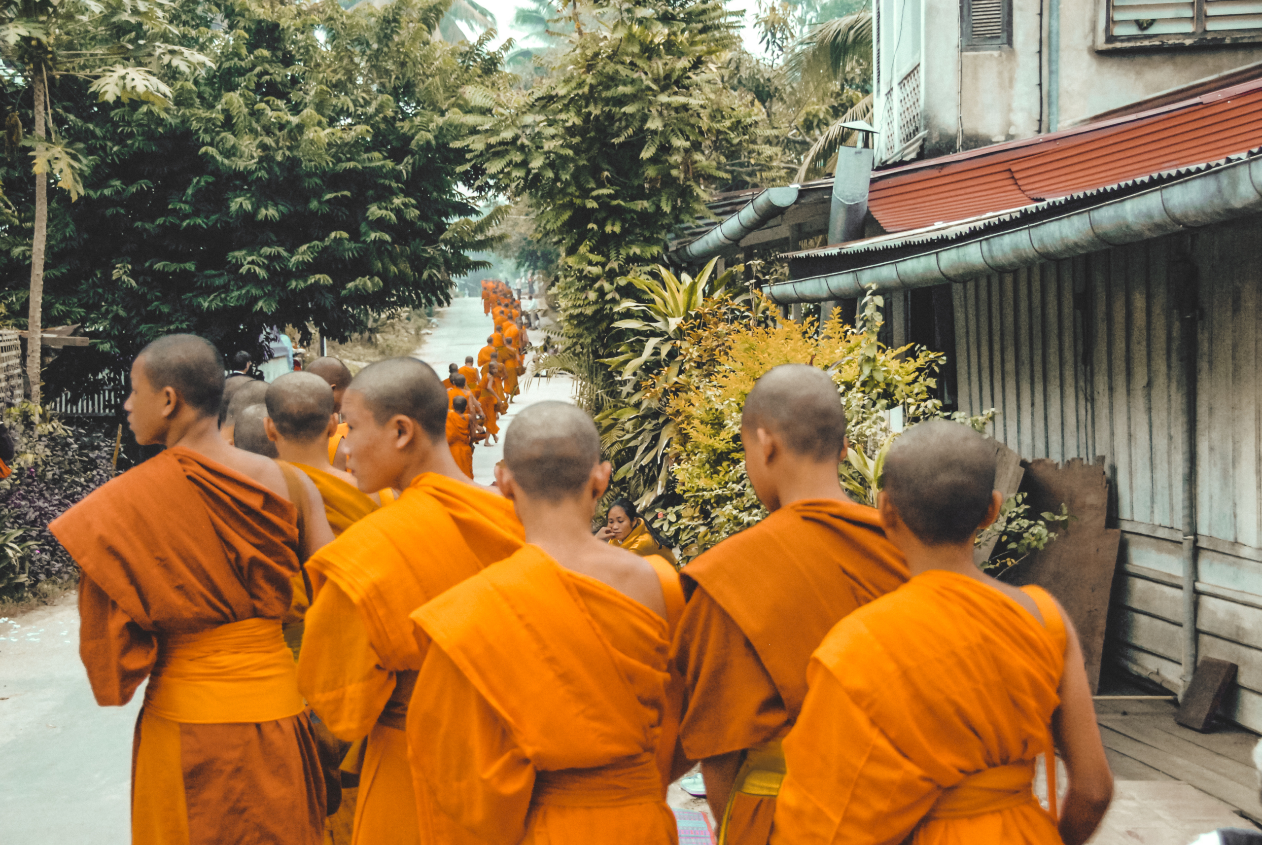 Buddhist monks in Luang Prabang, city of the Phra Bang