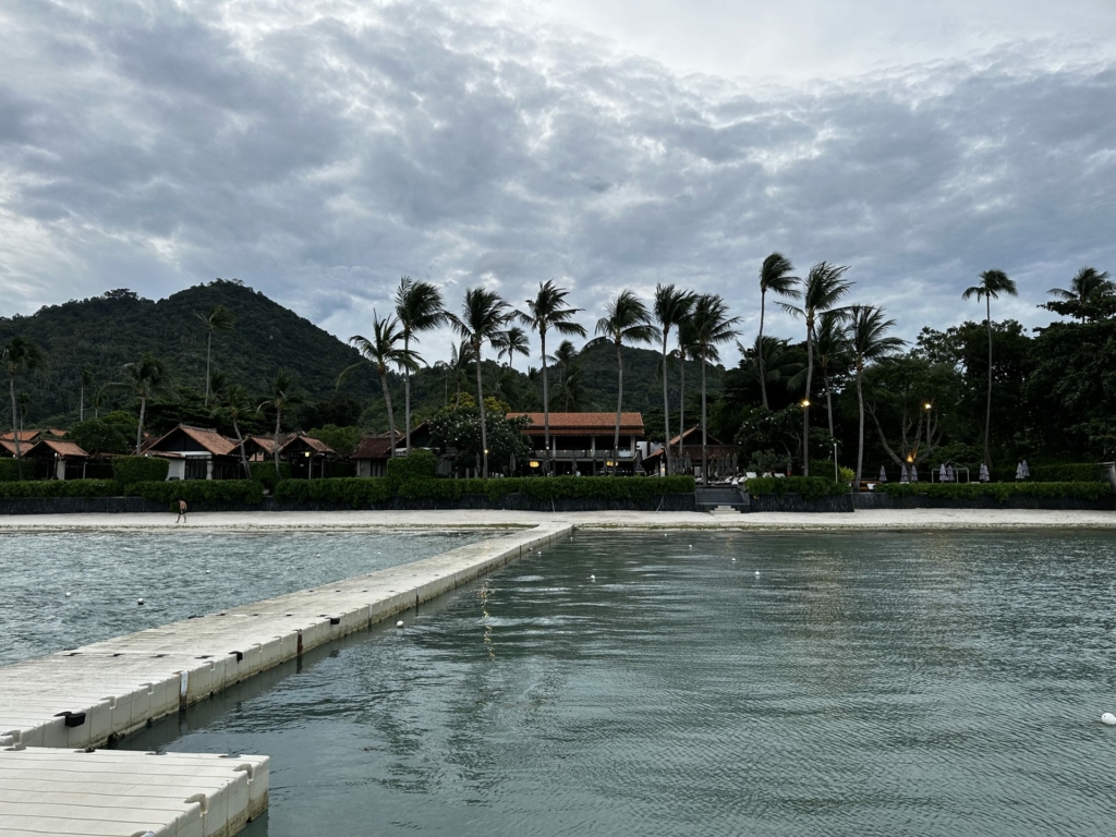 Palm-lined beach on Koh Samui, Thailand